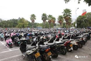 电动车事件最新爆料新闻,揭秘事故真相与责任归属 第2张 电动车事件最新爆料新闻,揭秘事故真相与责任归属 第2张